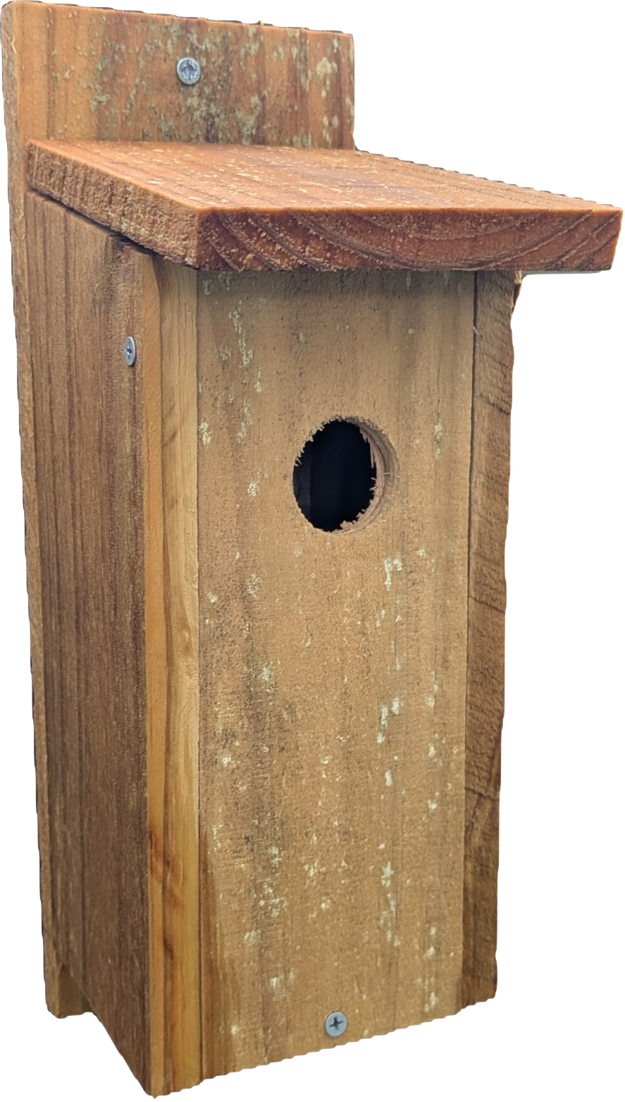 Eastern Standard